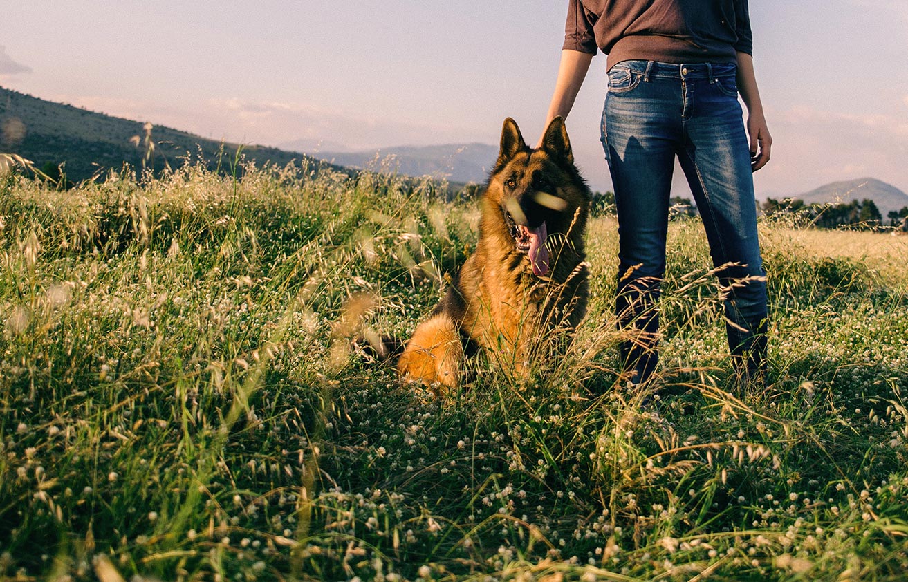 A woman walking her dog through a field